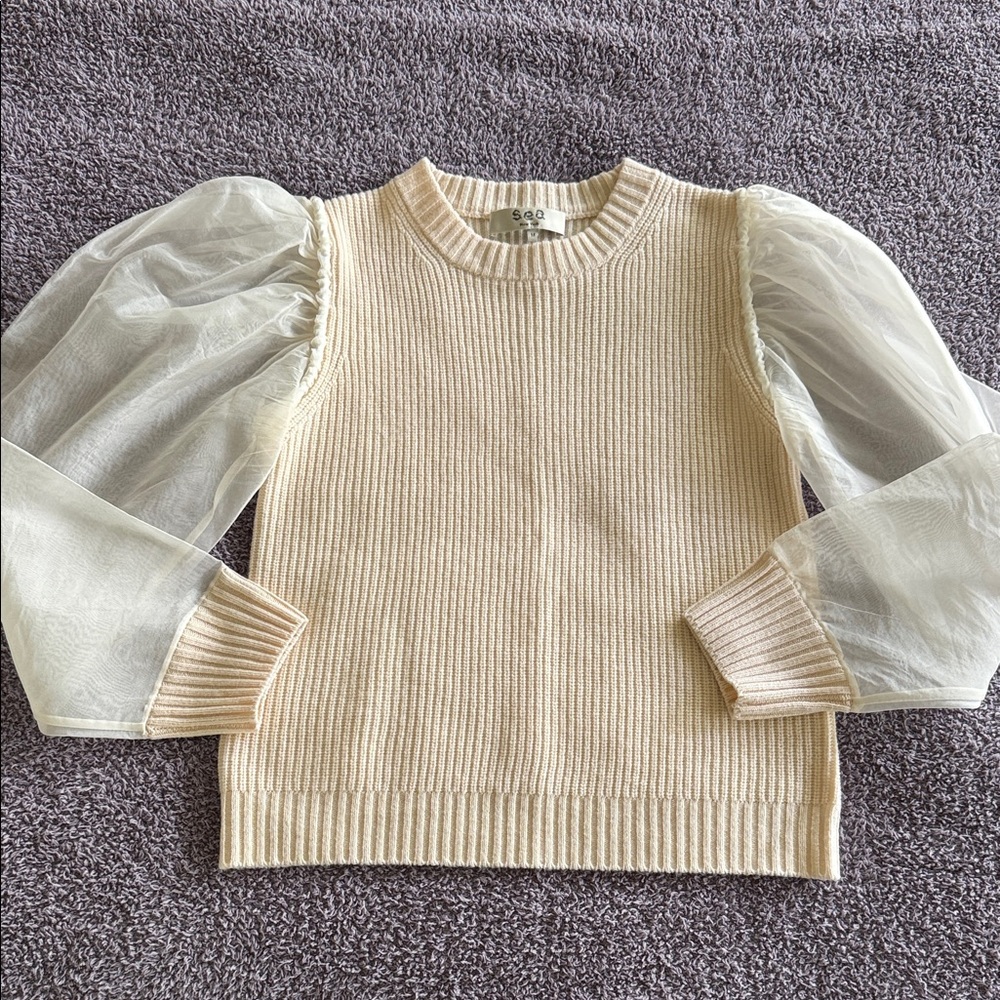Cream Sweater with Sheer Sleeves